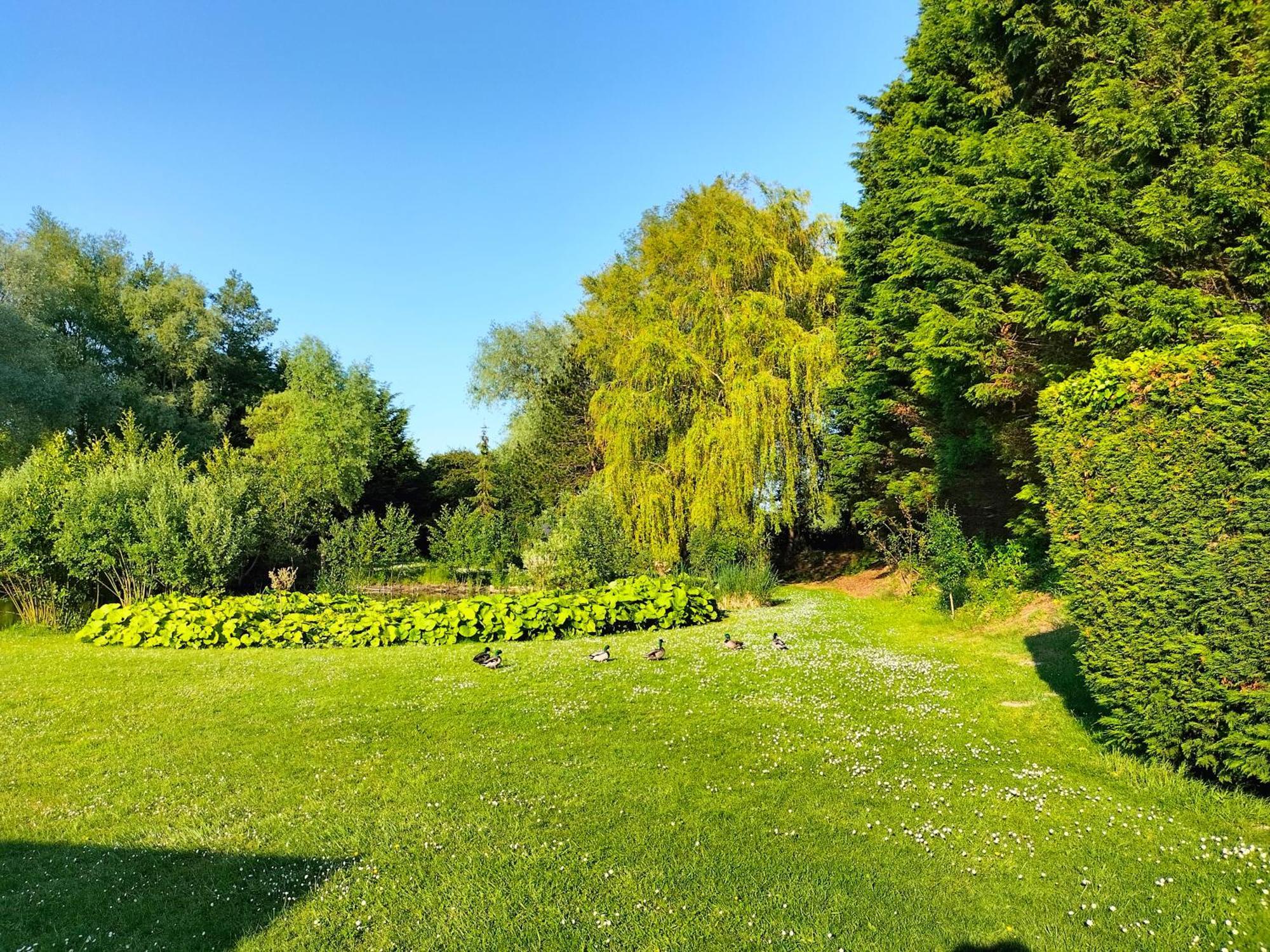 Bed and Breakfast La Mouillere Verton Экстерьер фото